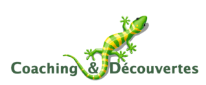 Coaching & Découvertes Académie - Ecole de Coaching